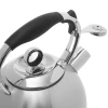 Чайник из нержавеющей стали со свистком Fissman Nova 5891 (2,8 л)