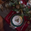 Тарілка порцелянова новорічна Fissman Christmas Eve 13755 (27 см)