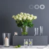 Ваза для квітів скляна Trend Glass Viggo 35310 (25 см)