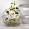 Ваза стеклянная Pasabahce Flora 43417