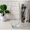 Ваза скляна Pasabahce Flora 43966 