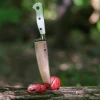 Ніж кухарський Fissman Monogami 2492 (20 см)