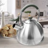 Чайник з нержавіючої сталі зі свистком Maestro MR-1323 (2,5 л)