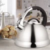 Чайник з нержавіючої сталі зі свистком Maestro MR-1328 (2,8 л)