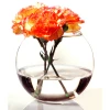 Ваза акваріум Pasabahce Flora 45068